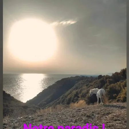 Luxussátor Dans Bulle La Tete Dans Les Etoiles